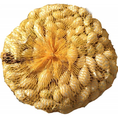 AgroBio Cibule sazečka Shakespeare 250 g – Hledejceny.cz