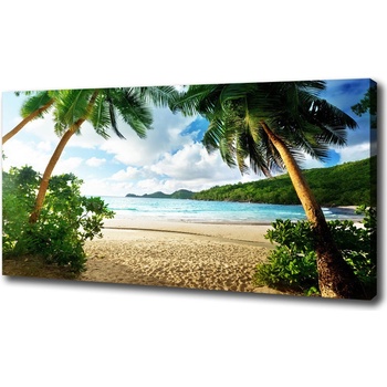 Foto obraz na plátne Palmy na pláži 100x50 cm