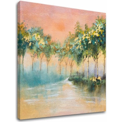 Obraz na plátne STROMY - 70x60 cm