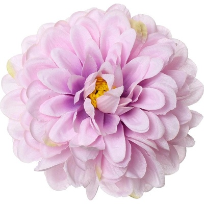 HLAVA DAHLIA BL.FIALOVÁ P:10CM BAL:12KS