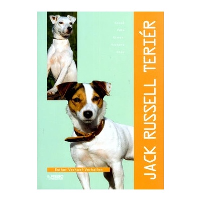 Jack Russell teriér