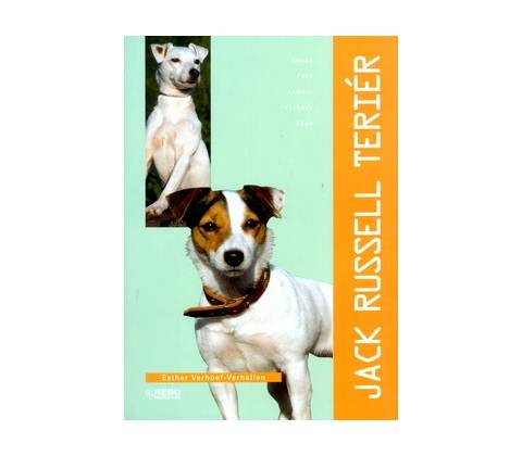 Jack Russell teriér