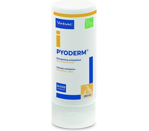 Pyoderm šampon 250 ml