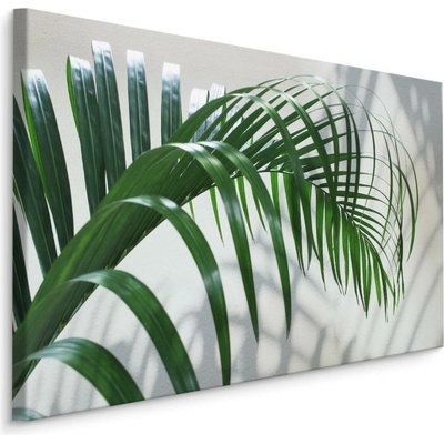 MyBestHome BOX Plátno Zelený Palmový List S 3D Efektem Varianta: 90x60