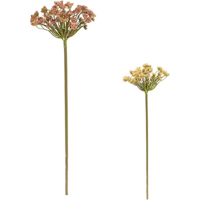 KS AMMI MIX/2F 54CM