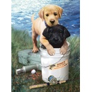 Malování podle čísel Štěňata