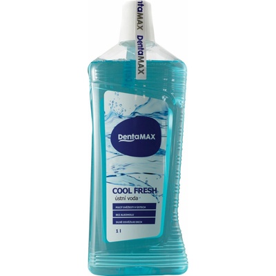 DentaMax Cool Fresh 1 l