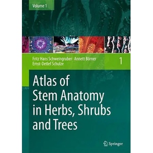 Atlas of Stem Anatomy in Herbs, Shrubs and Trees | Fritz H. Schweingruber, Annett Börner, Ernst-Detlef Schulze (2010)