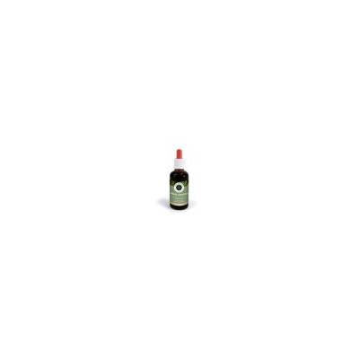 Anona Graviola - Inca Botanica - extrakt 50 ml