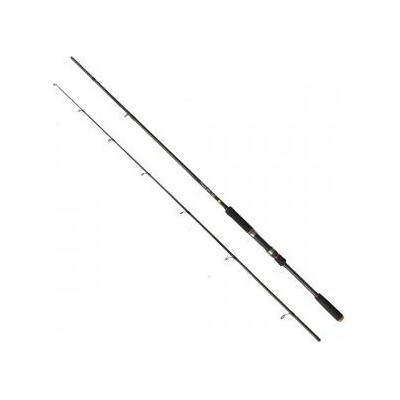 Albastar Spining Heavy Spin 2,2 m 80-120 g 2 díly