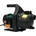 FLO 800W 79811