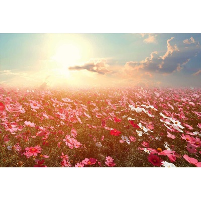 DIMEX ART Флизелинов фототапет природен пейзаж 375 x 250 см