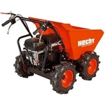 HECHT 2636