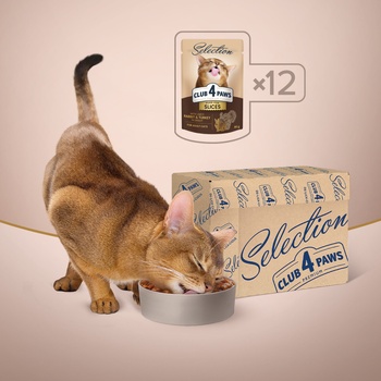 CLUB 4 PAWS Premium Plus pre mačky Plátky s králičím a morčacím mäsom v omáčke 12 x 80 g