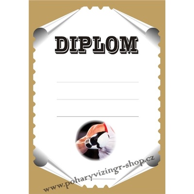 VIZINGR Box diplom A4 č.6