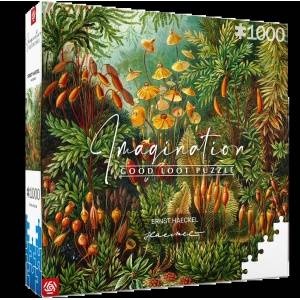 Good Loot Puzzle 1000 Ernst Haeckel Muscinae