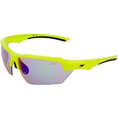 3F Vision Version 1706