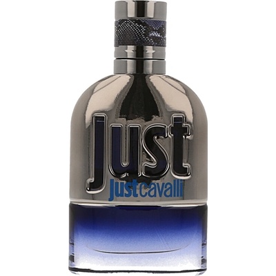 Roberto Cavalli Just Cavalli pánská 2013 toaletní voda pánská 30 ml