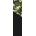 Core Split camo griptape