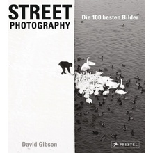 Street Photography: Die 100 besten Bilder Gibson David