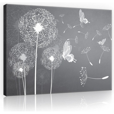 Postershop Obraz na plátně: Pampelišky a motýli - 80x60 cm