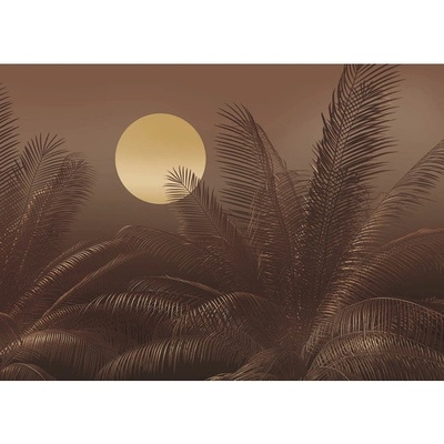 LJX7-039 Fototapeta vliesová Calypso rozměry 350x250 cm