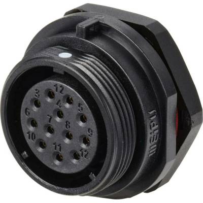 Weipu SP2112 / S 12 guľatý faston, 1 ks
