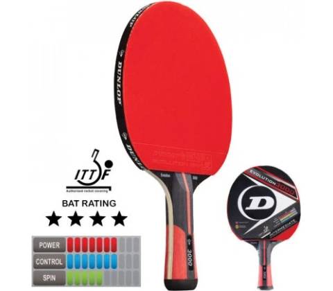 Dunlop Evolution 3000