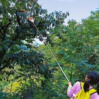 Jipos Tools Sběrač ovoce R2198