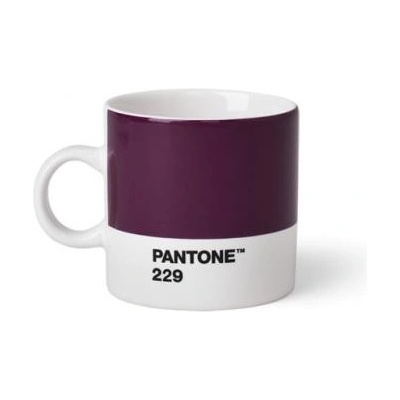 Pantone Espresso Aubergine 229 120 ml