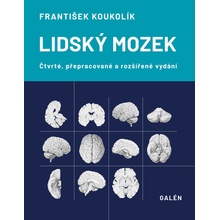 Lidský mozek - 4.vydání