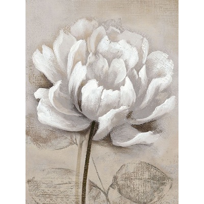 Bílý květ III 1 deska 50x70