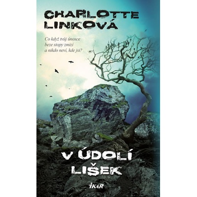 V údolí lišek - Charlotte Linková