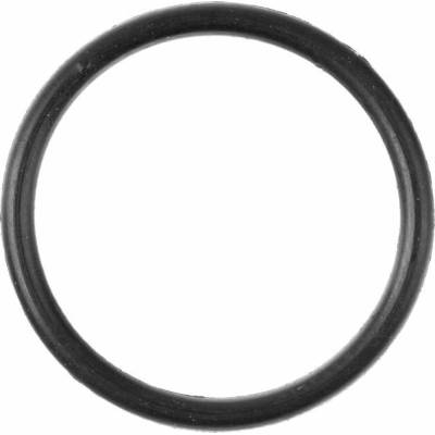 NGH Těsnění karburátoru O kroužek