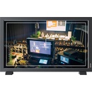 Lilliput PVM210S