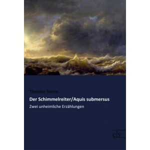 Der Schimmelreiter / Aquis submersus | Theodor Storm (ISBN: 9783959091299)