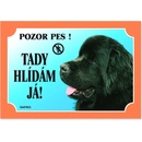 Dafiko Tabulka novofoundlandský pes černý
