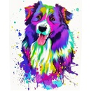 Grafix Malování podle čísel Pejsek