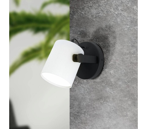 Eglo 43427
