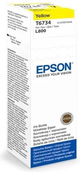 Epson T6734
