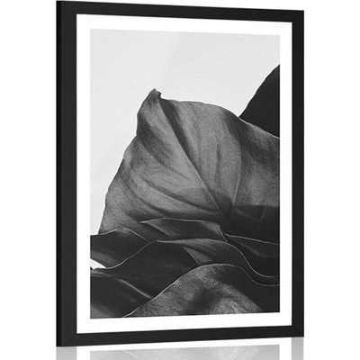 Plakát s paspartou okouzlující dopis monstery v černobílém provedení - 30x45 white