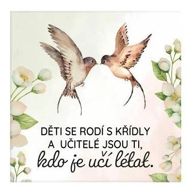 ALBI Magnetka - Učitelé