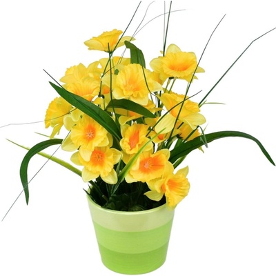 Narcisky v keramickém květináči 30×25 cm