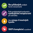 Kapsičky pre mačky Felix Tasty Shreds hovädzie kura kačka a morka v šťave 12 x 80 g