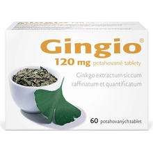 GINGIO POR 120MG TBL FLM 60