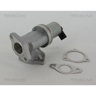 AGR-Ventil TRISCAN 8813 43002