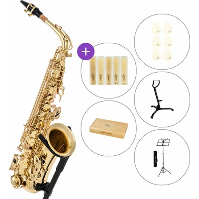 Latone VAS Student 02 Set Alt