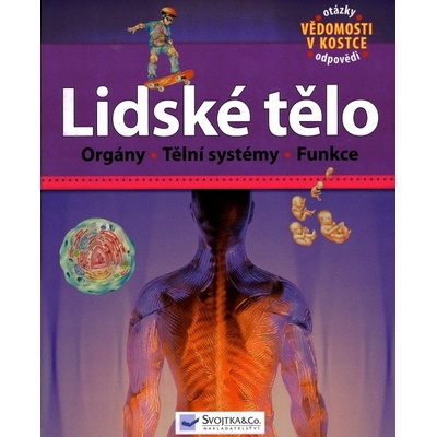 Lidské tělo - Orgány, Tělní systémy, Funkcie