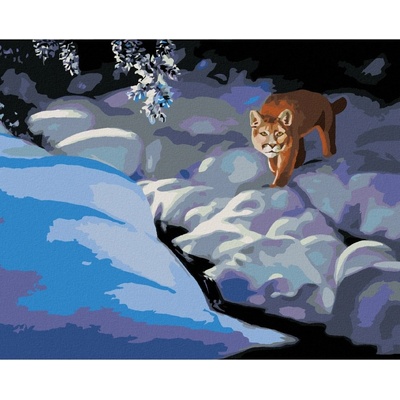 Zuty Malování podle čísel PUMA VE SNĚHU A ŘEKA D. RUSTY RUST