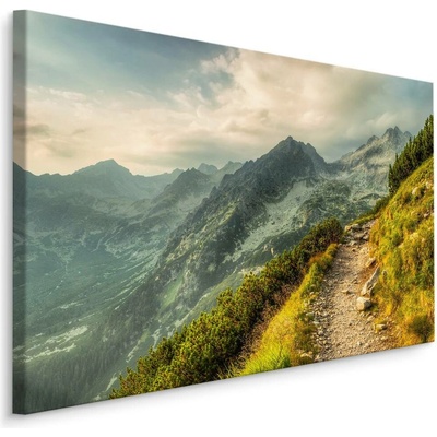 Plátno Cesta V Horách Varianta: 90x60